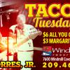 Windmill Cove Taco Tuesday